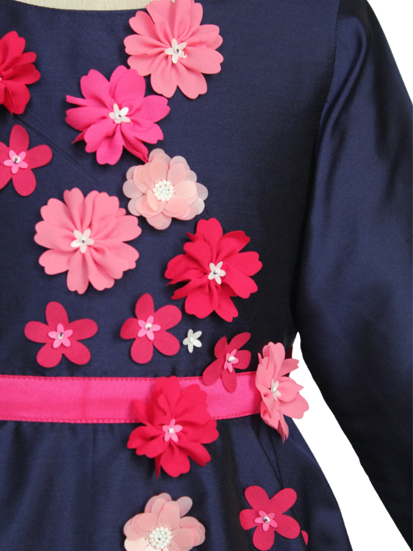 Blueberry Full Sleeve Dress