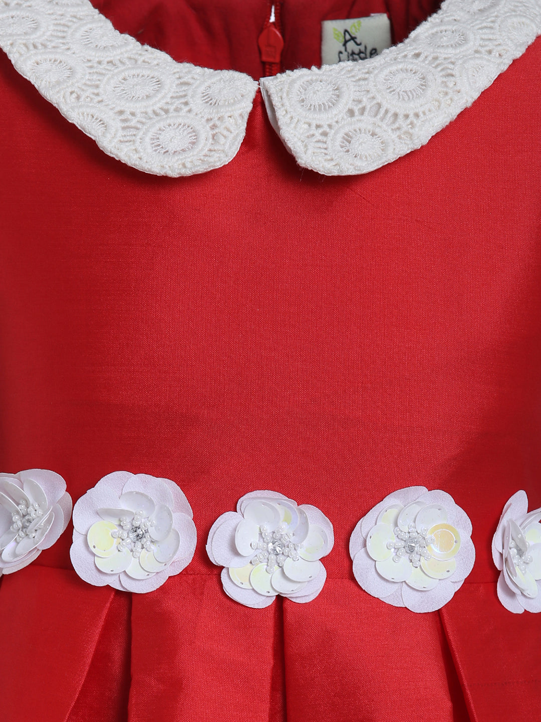 Lace Collar Dress