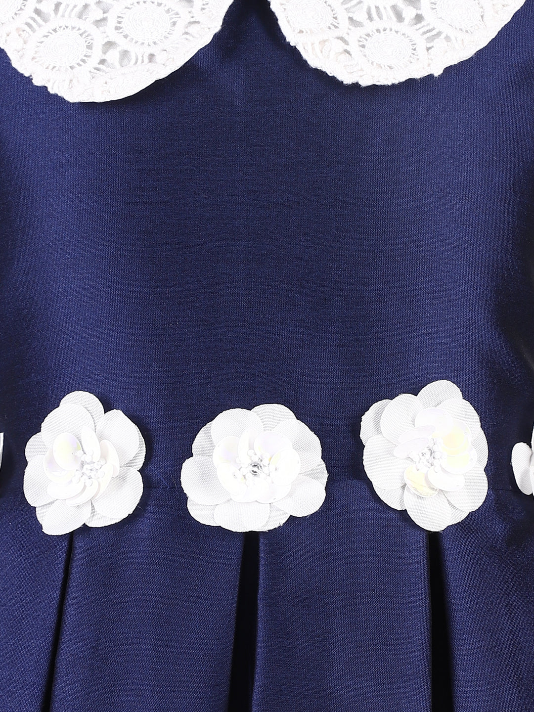 Navy Lace Collar Dress