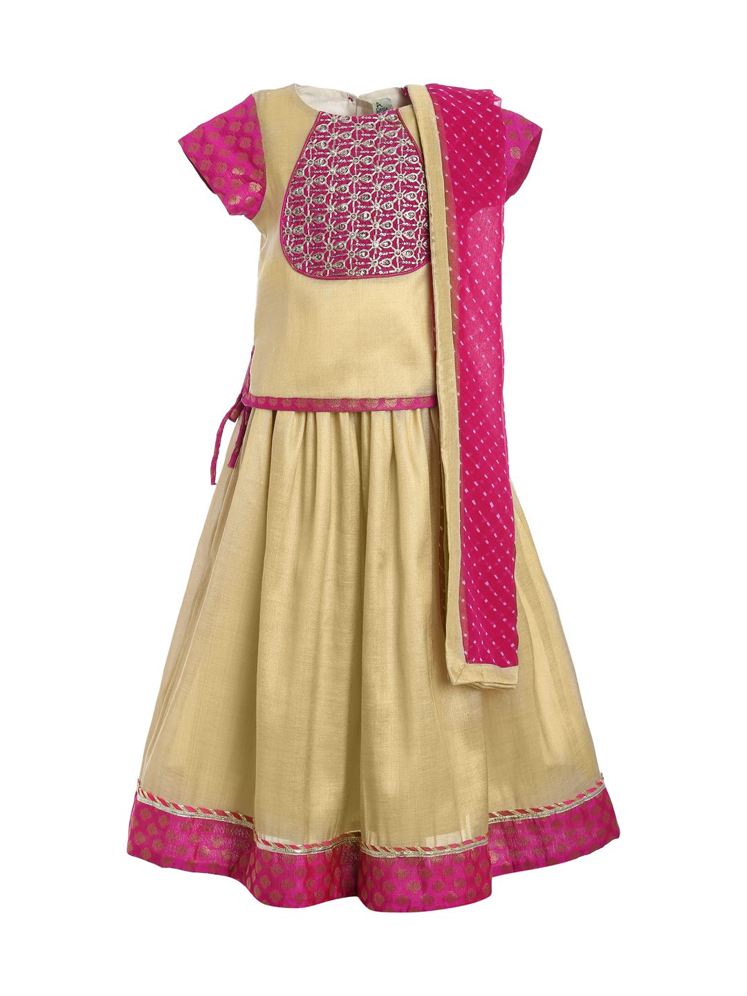 Pink Gem Lehenga