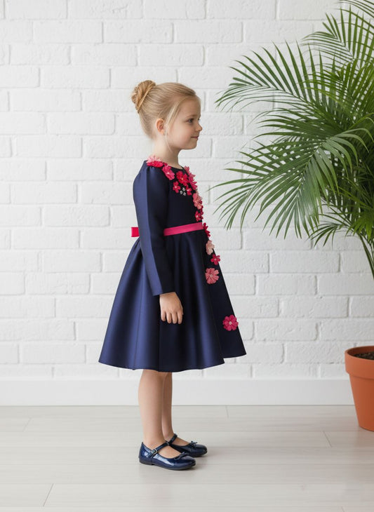 Blueberry full sleeve dress