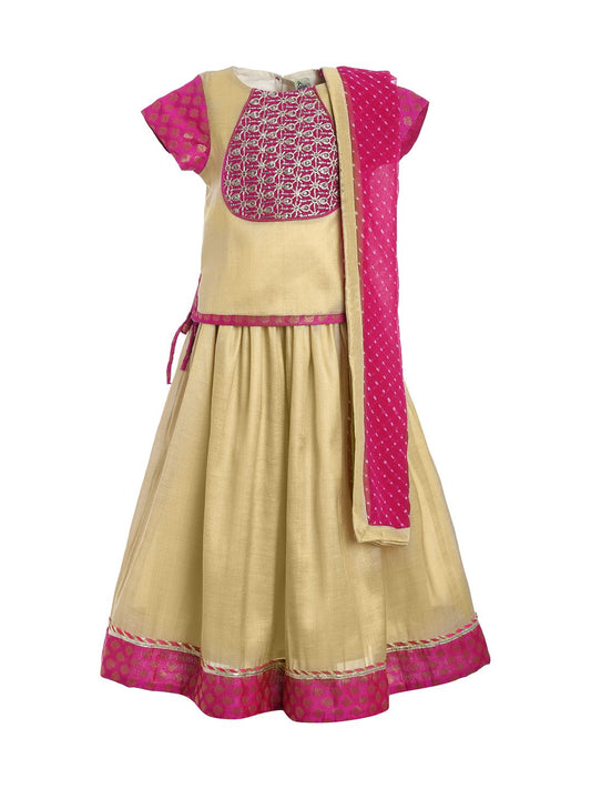 Pink Gem Lehenga