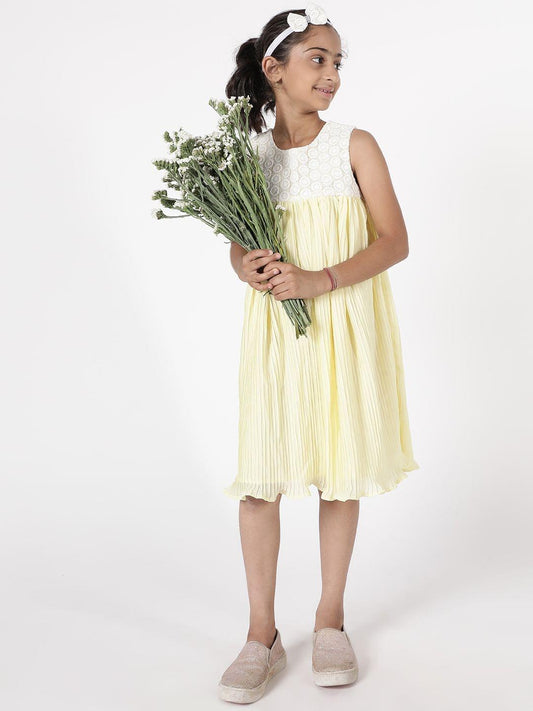Sundew lace dress